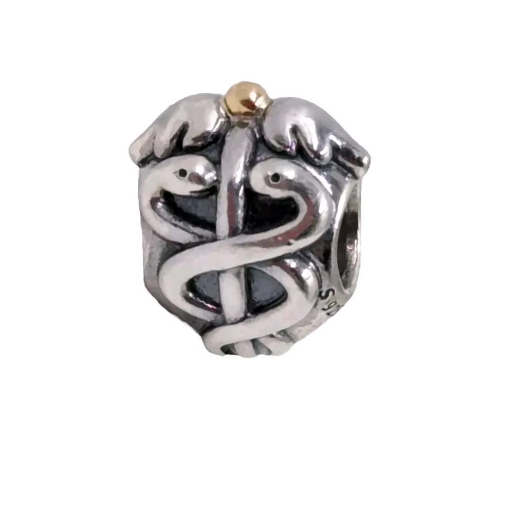 Life savor pandora charm